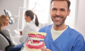 Smiling dentist holding dental model showing teeth anatomy in Niceville dental office.