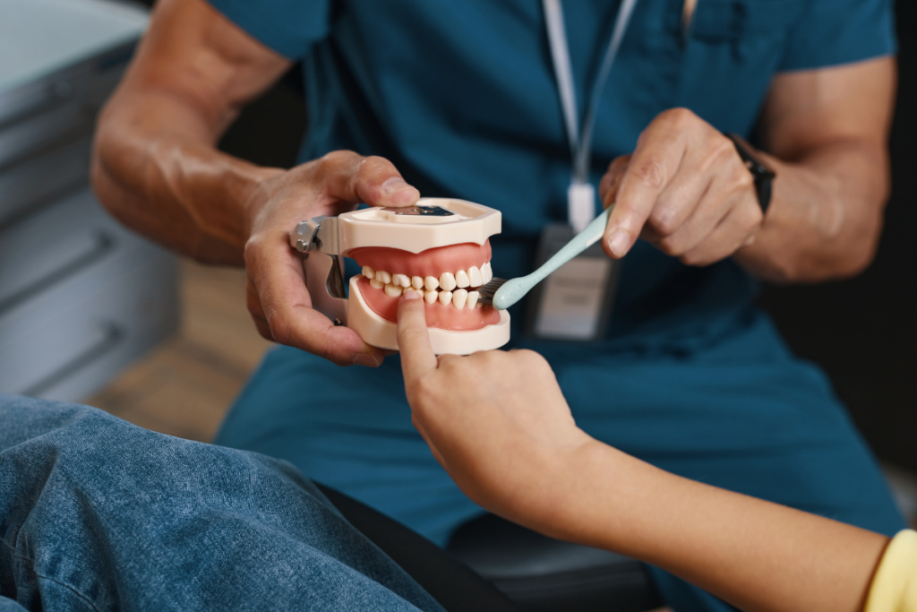 Dental professional demonstrating proper toothbrush technique using an educational teeth model.