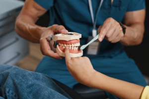 Dental professional demonstrating proper toothbrush technique using an educational teeth model.
